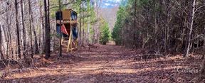 ±140-Acre Timber & Recreational Tract | Ridgeway, SC