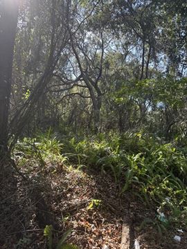 Terrific  Development Opportunity  in Oviedo