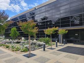 Single Oak Center