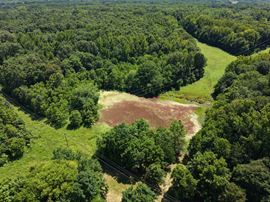 Highway 231 Commercial Lot