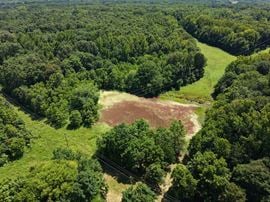 Highway 231 Commercial Lot
