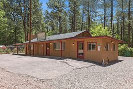 1389 E Christopher Creek Loop