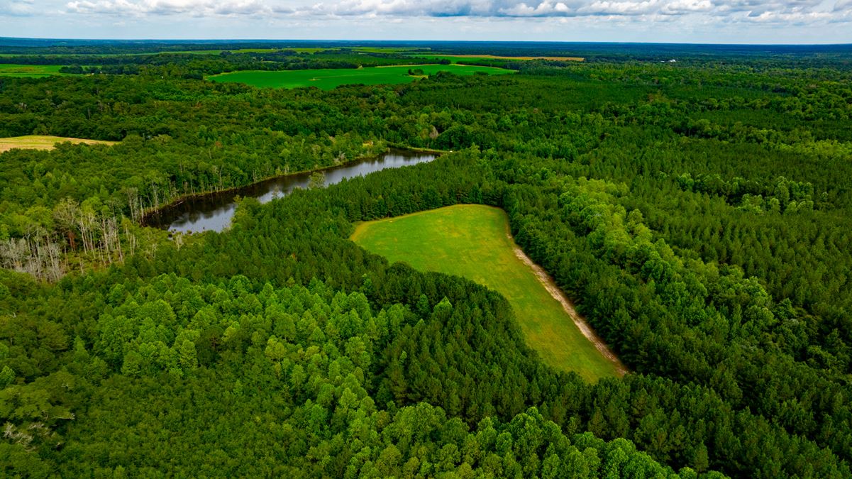 Long Branch Hunting & Timber with House