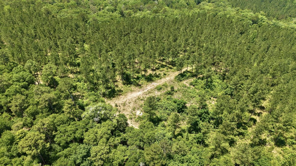 Flat creek Ridge