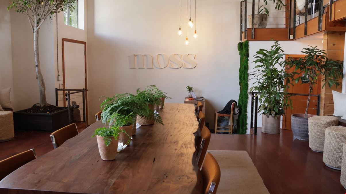Moss Collective
