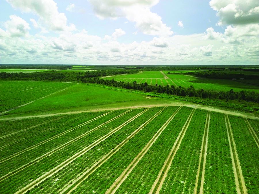 Manatee County Farm Land