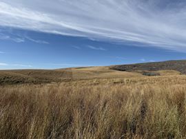694.8 Acres TBD West Pocatello Creek Road