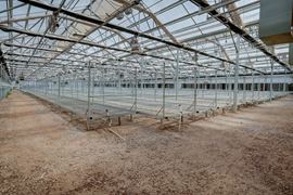 42,300 SF Flex Greenhouse Facility in Prescott Valley