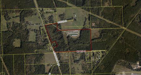 Land For Sale (183 Acres)! - Starke