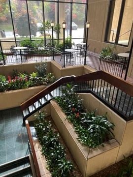 2229 SF Suite 595 Professional and Medical Office Space