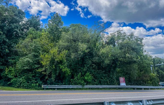 0 Williamson Rd, Roanoke Va, 24012