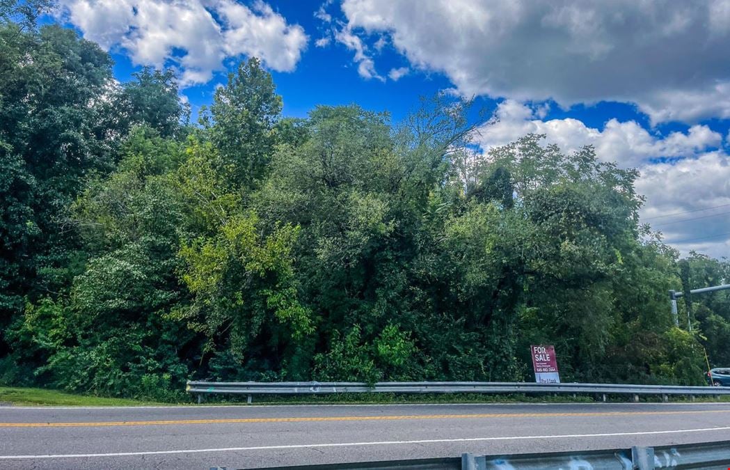0 Williamson Rd, Roanoke Va, 24012