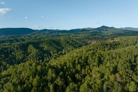 1,429 Acres For Sale