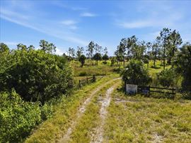 Big Cypress Preserve