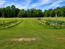 Vacant Commercial Land--All Utilities Present-- 24 Acres