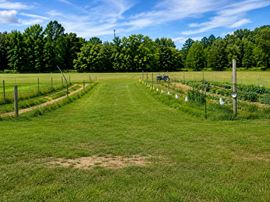 Madison Ridge Commercial Reserve - 24 Acres