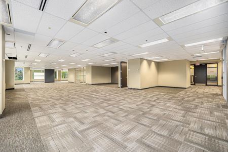 Suite 300 Space Photo Gallery 3