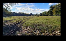 Lowery Land