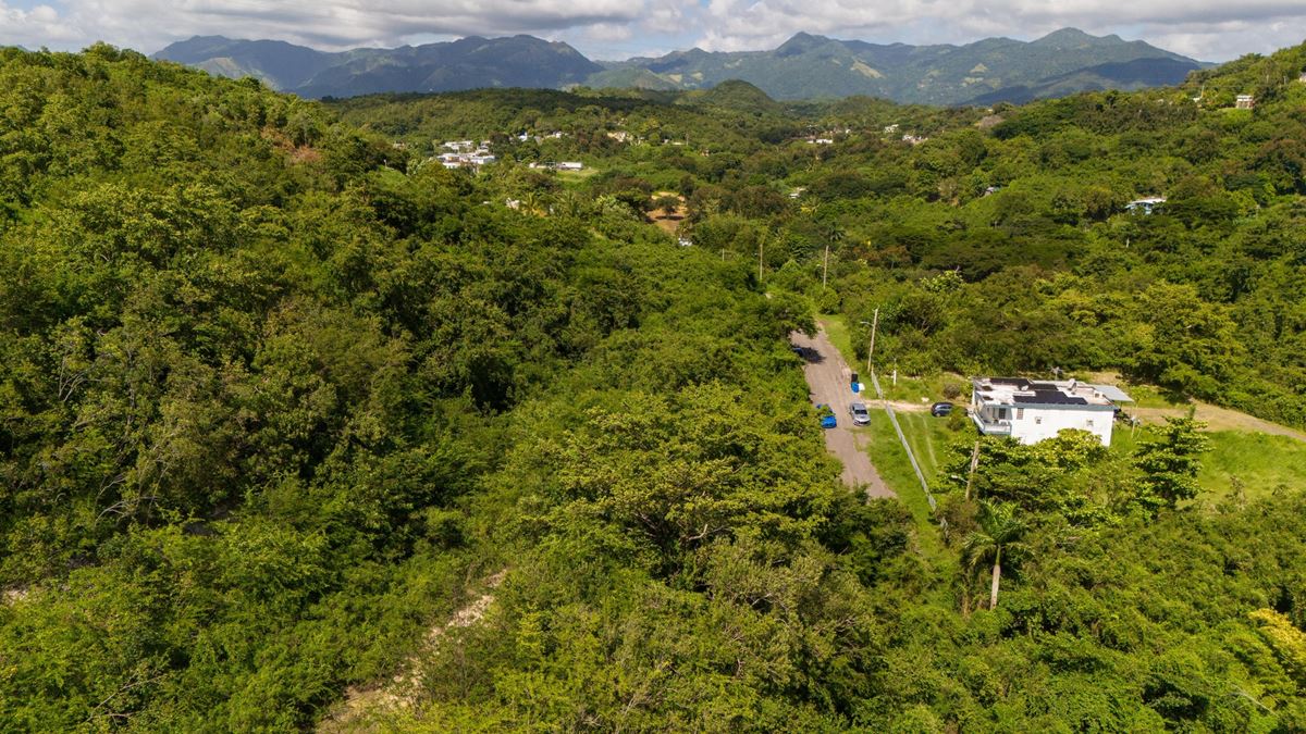 Ponce Agricultural 18.36 Acre Land @ Canas Ward - For Sale
