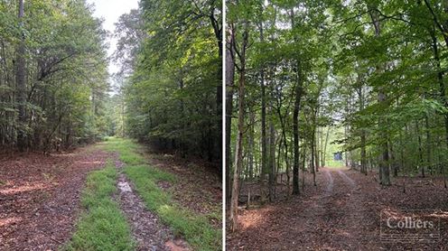 ±97.79 Acres Ready for Development in Spartanburg County