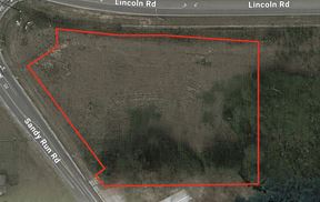 Build to Suit - Lincoln Rd and Sandy Run Rd