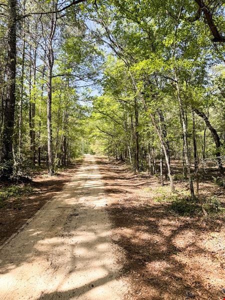 VacantLand space for Sale at Yorkshire Court in Batesburg-Leesville