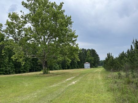Photo of commercial space at  00 in Sardis