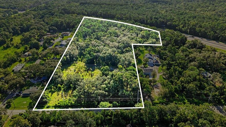Lutz Premier Development Site