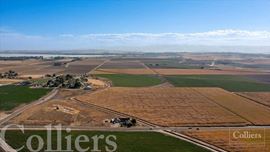 Sage Acres Lane Farm | 51.5 Acres For Sale