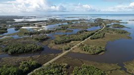Levy County Islands
