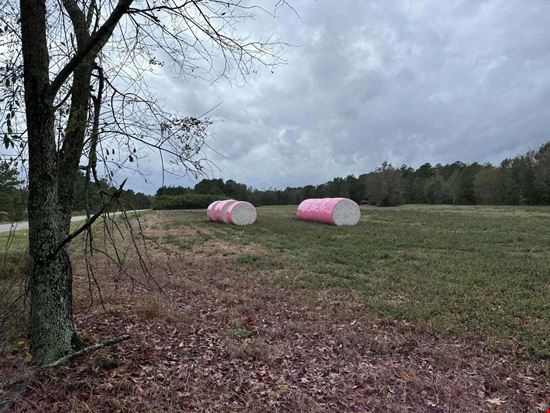 Commercial Land for Sale
