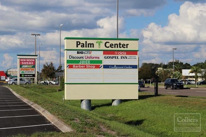 Palm Center