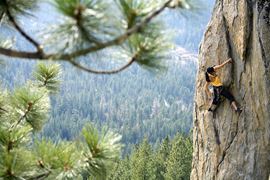 Tahoe Mountain Lab (co-working)