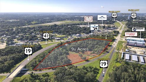 US 41 & US 19 Interchange