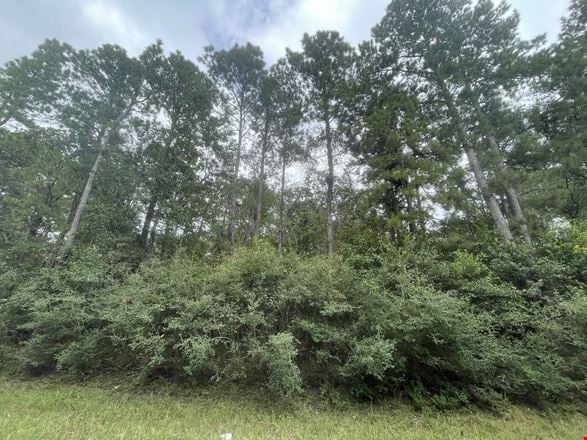 10ac Magnolia/ The Woodlands