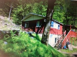 49 Blueberry Hill