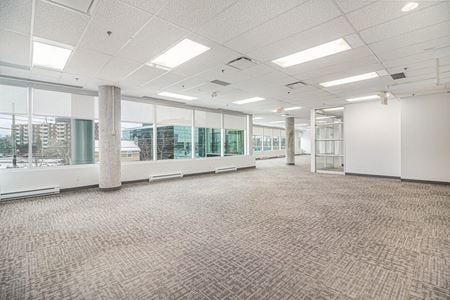 Suite 210A Space Photo Gallery 2