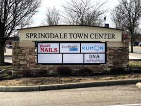 Springdale Town Center