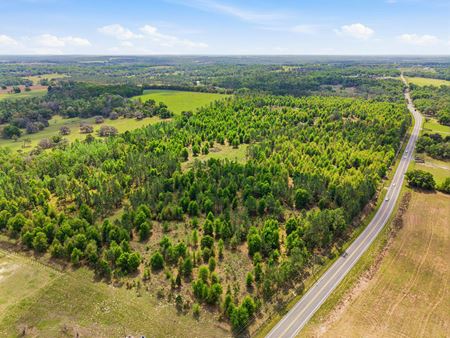 VacantLand space for Sale at 1114 Spring Lake Hwy in Brooksville