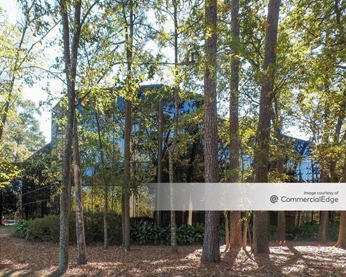 II Kingwood Place