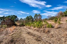 2600 Block Park Avenue, Lot 2L, Hot Springs, AR 71901