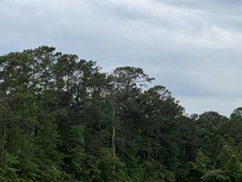 32 Ac Betts Rd