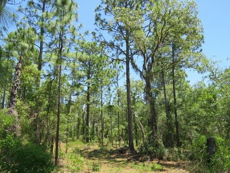 VacantLand space for Sale at 3030 Northwest 150th Avenue in Ocala