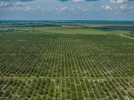 VacantLand space for Sale at 15025 Arbuckle Creek Rd in Sebring