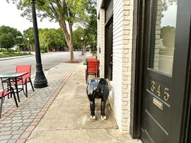 Charming Downtown Aiken Storefront Available Now @ 1770 square feet!