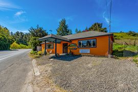 17235 Bodega Hwy