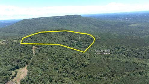 Tater Mountain East