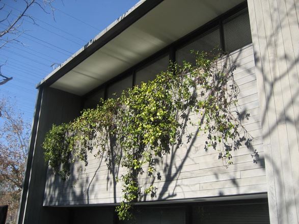 930 Colorado Blvd #1