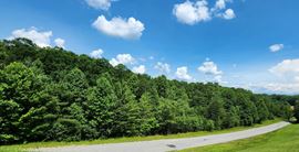 Pine Knoll Drive