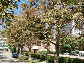 WILSHIRE-LINDEN PROPERTIES LTD